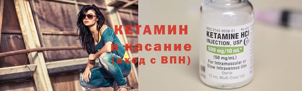 гашик Алексин