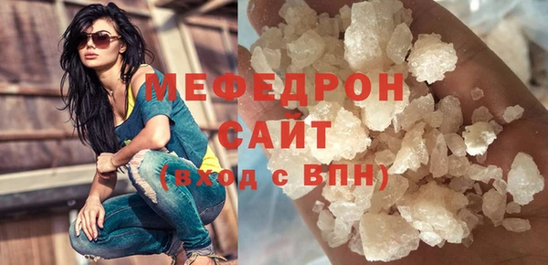 хмурый Пересвет