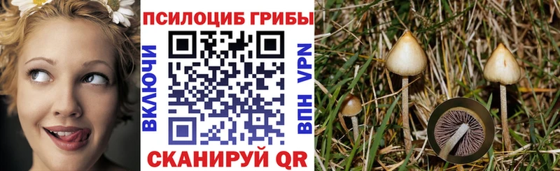 мориарти как зайти  Нурлат  Галлюциногенные грибы Psilocybe 